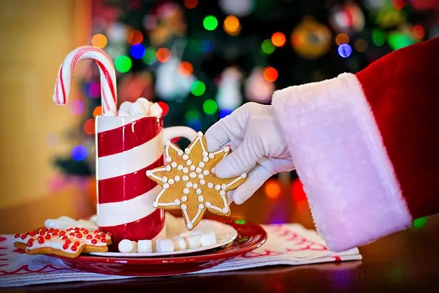Les 10 Meilleures Activités Familiales pour Noël