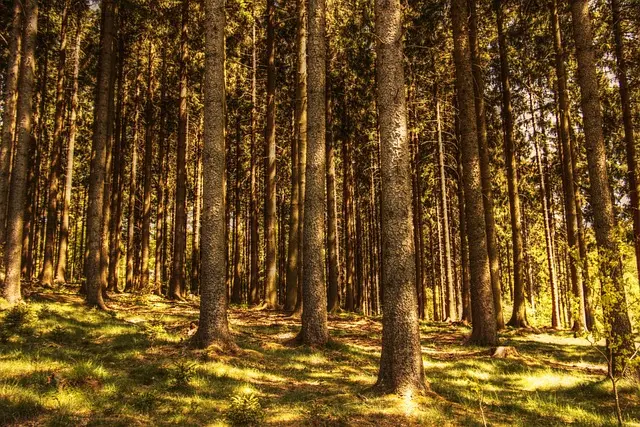 Top 10 Unique Outdoor Leisure Activities to Try This Weekend