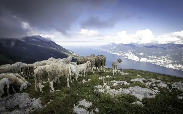 Les 7 Meilleurs Lieux à Explorer pour des Vacances Uniques