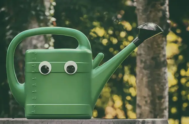 Les avantages d'un système d'irrigation durable pour votre jardin