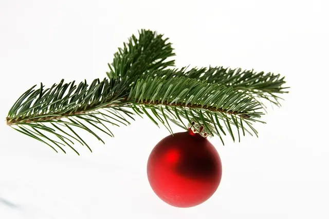 Meilleures décorations festives : Guide d'achat complet