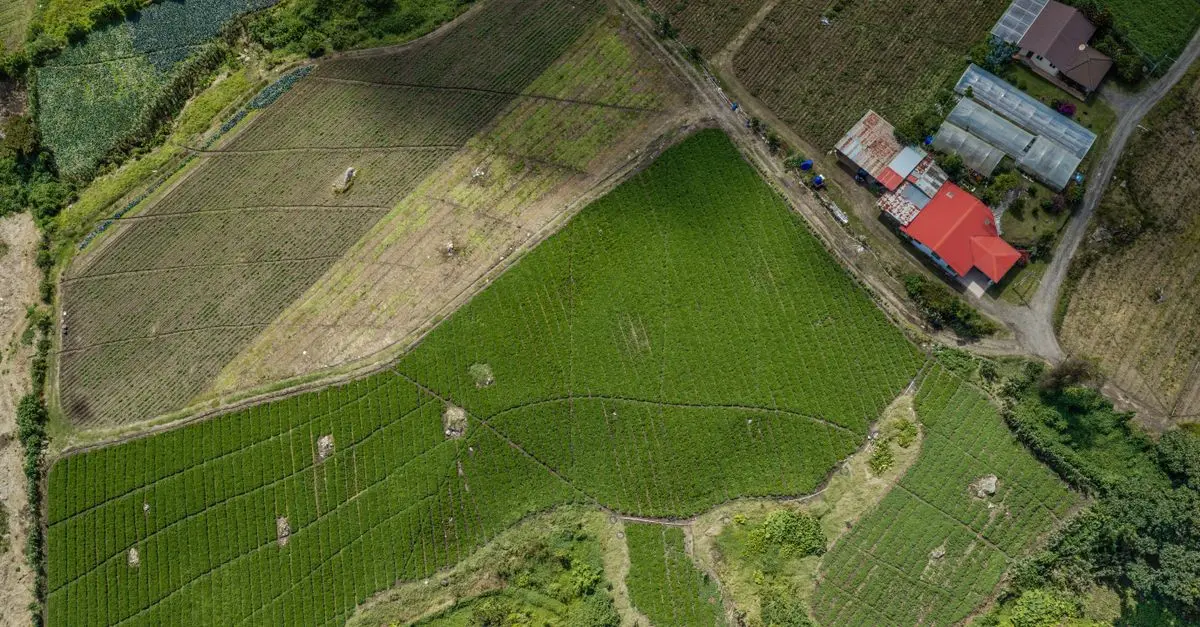 Comment l'agriculture régénérative façonne un avenir écologique