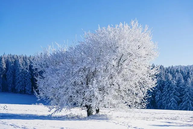 Comment éviter les erreurs fréquentes pendant les soldes hiver