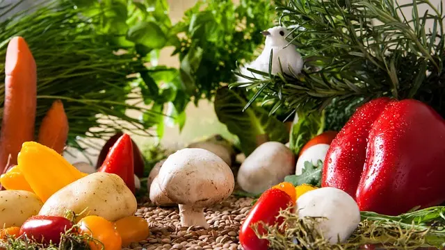 10 Plantes Faciles à Cultiver dans Votre Jardin