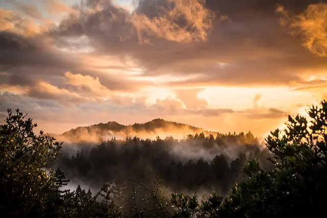 Essential Steps to Kickstart Your Photography Career