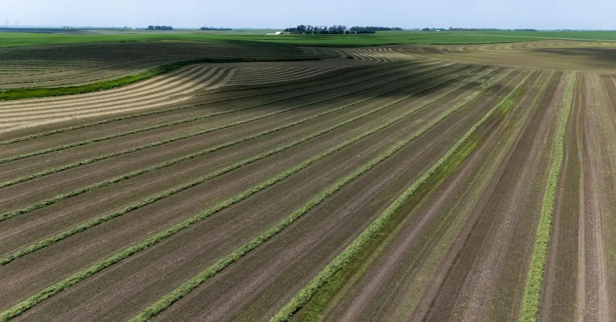 Comment Choisir un Semoir Agricole Écologique pour Vos Cultures