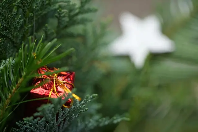 Les Meilleurs Cadeaux de Noël à Revendre Facilement