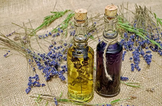Comment bien choisir son produit CBD : guide complet
