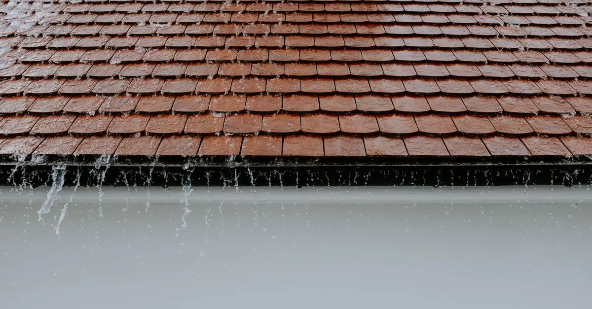 Guide d'achat : meilleur système de récupération d'eau de pluie