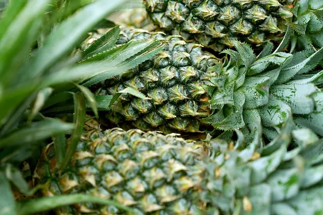 Les meilleures pratiques pour acheter des produits bio en ligne