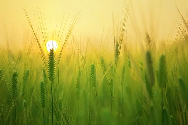 Jakie akcesoria na wiosnę będą modne dla stylowej kobiety?