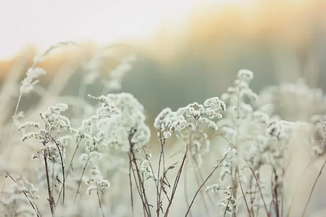 Comment pratiquer une relaxation rapide en 5 étapes simples