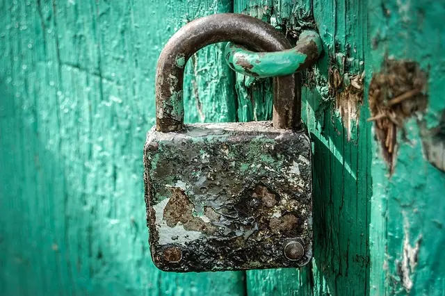 Guide pratique pour choisir une serrure adaptée à vos besoins