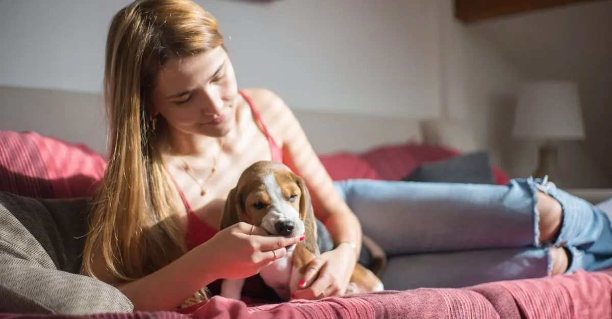 10 Essential Tips for Transitioning Your Rescue Pet to a New Home