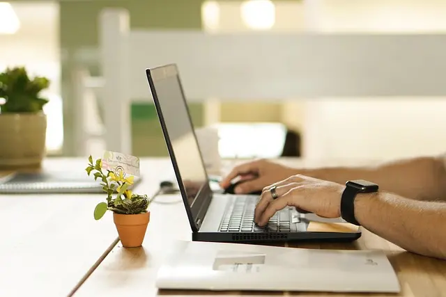 Cómo elegir la mejor opción de compra en línea para tus necesidades