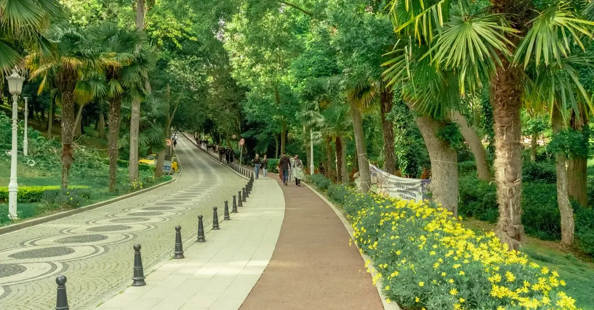How to Build a Comprehensive Walking Routine