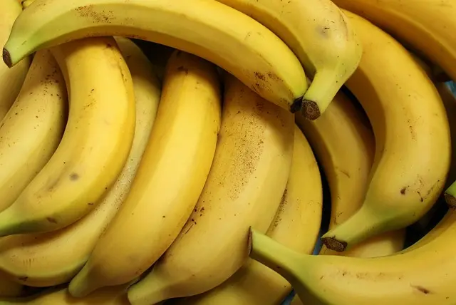 Les éléments clés pour garantir le succès d'un projet mature