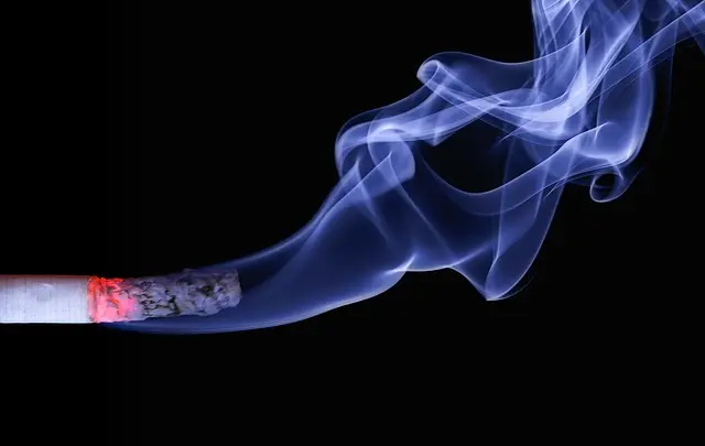 Les Meilleures Techniques pour Évaluer la Qualité des Habits Accessibles