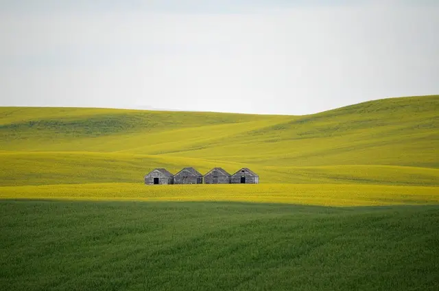 Les meilleures remorques agricoles pour terrains difficiles