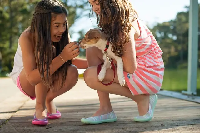 10 Essential Tips for Socializing Your New Puppy