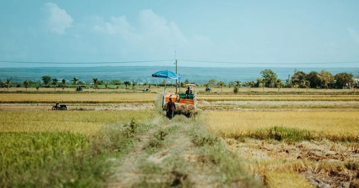 Les erreurs à éviter lors de l'achat de matériel de tracteur