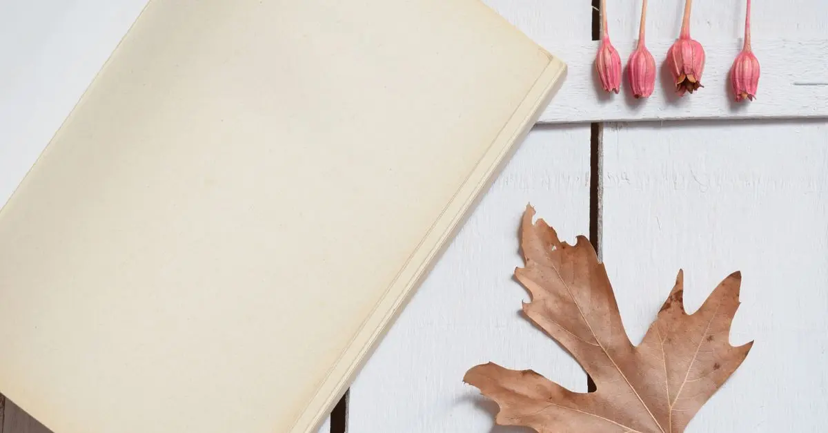 Comment utiliser les saisons pour inspirer votre journal de mode