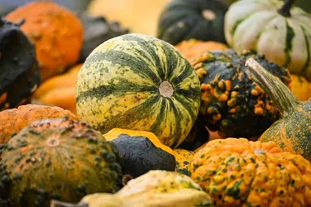 Les meilleures tendances de décoration pour Halloween
