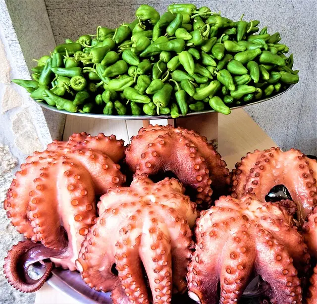 Cómo Hacer un Auténtico Pulpo a la Gallega: Receta y Consejos