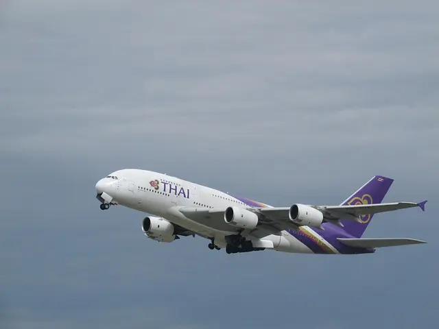 5 Essential Tips for Becoming a Successful Pilot