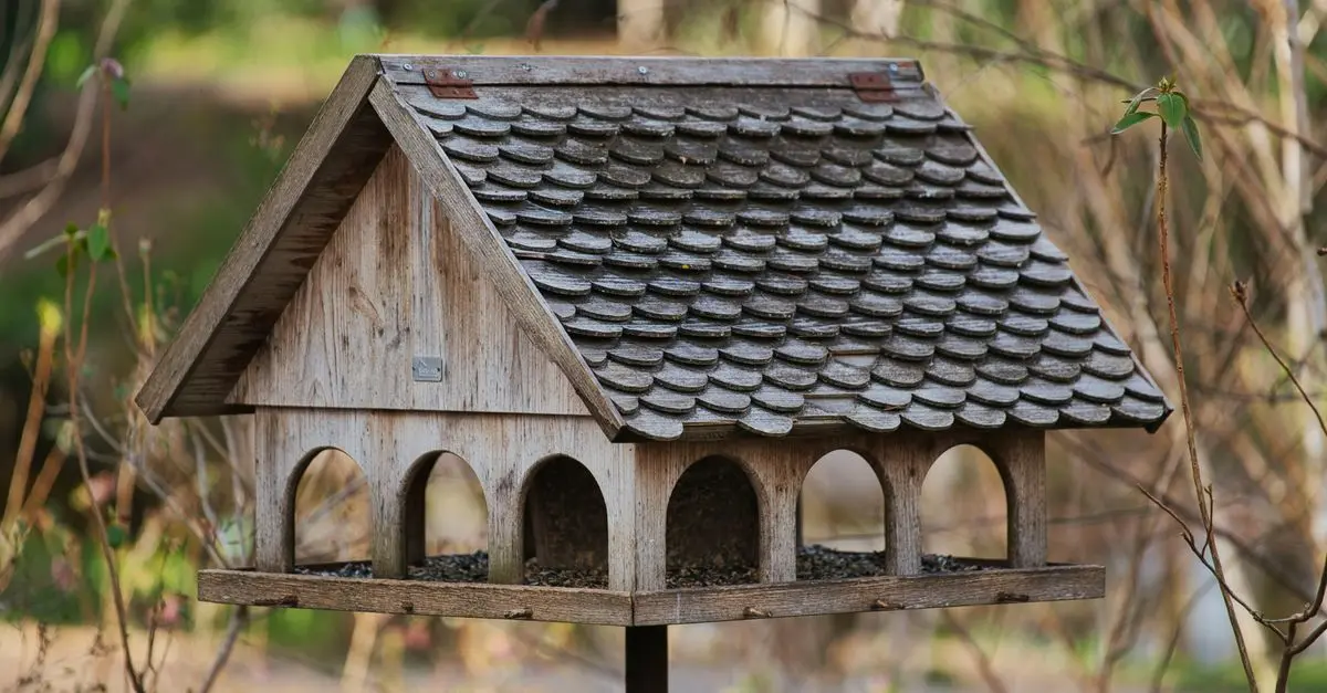 Guide pratique pour accueillir des oiseaux dans votre jardin