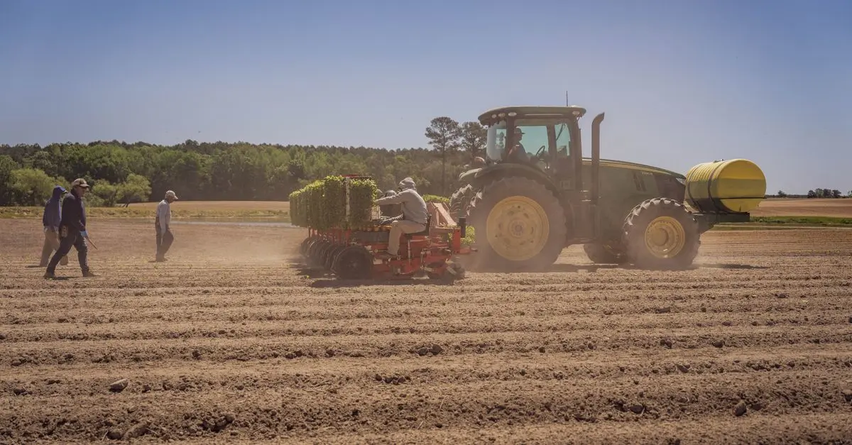Les critères incontournables pour choisir vos pneus de tracteur