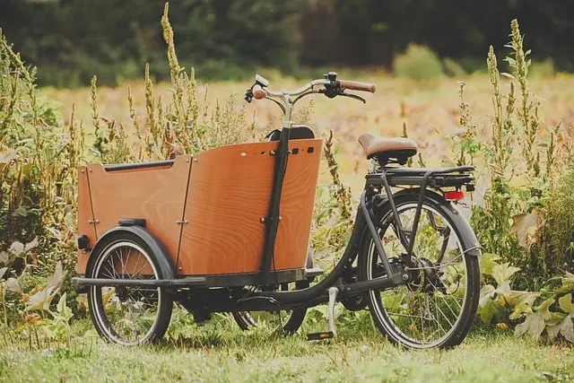 Top Appliance Trends You Should Know for Sustainable Living