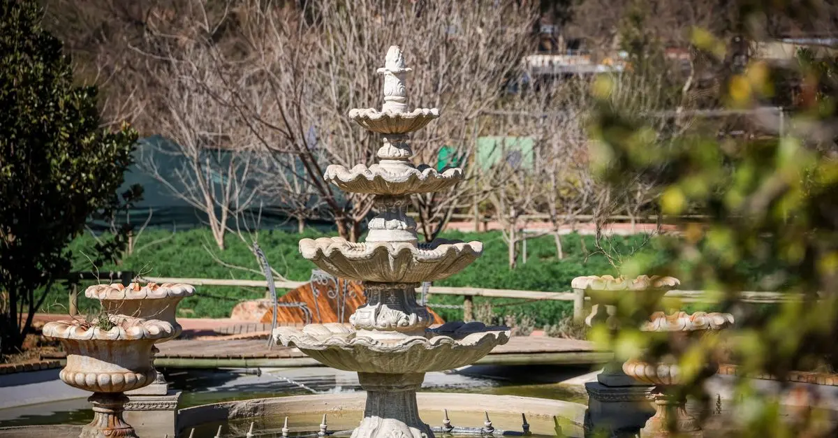 Comment Créer un Jardin Sensoriel Éveillant Vos Sens