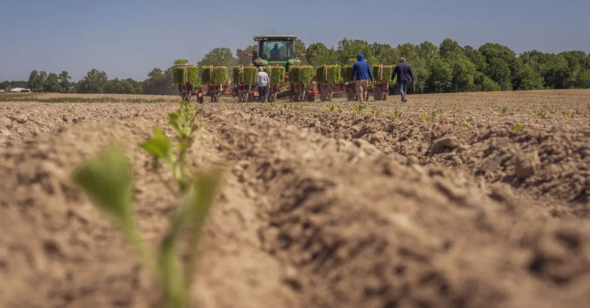 Quand et Comment Entretenir Votre Semoir Agricole