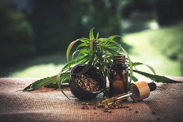 Les différents modes de consommation du CBD : lequel choisir ?