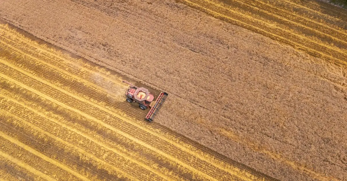 Comment utiliser le marketing digital pour accroître vos ventes agricoles