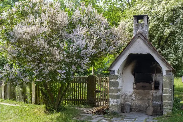 Comment profiter pleinement de votre jardin en toutes saisons