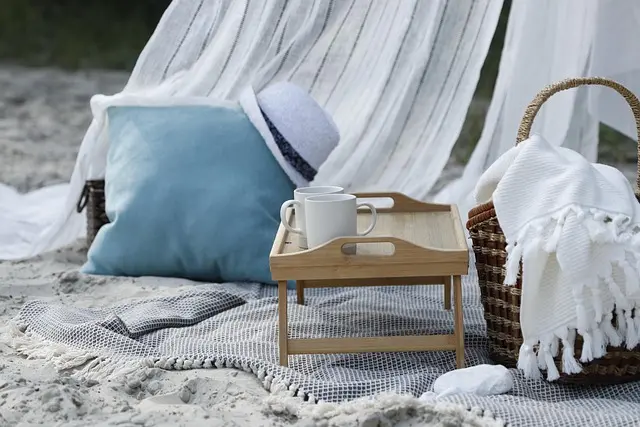 Cómo organizar el picnic perfecto: consejos y recetas