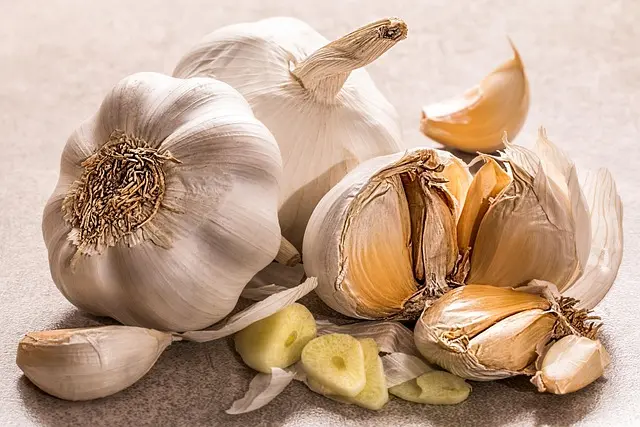 Comment Intégrer les Légumes Saisonnniers dans Votre Cuisine Paléo
