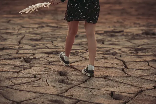 Comment Évaluer l'Impact des Changements Climatiques sur vos Cultures