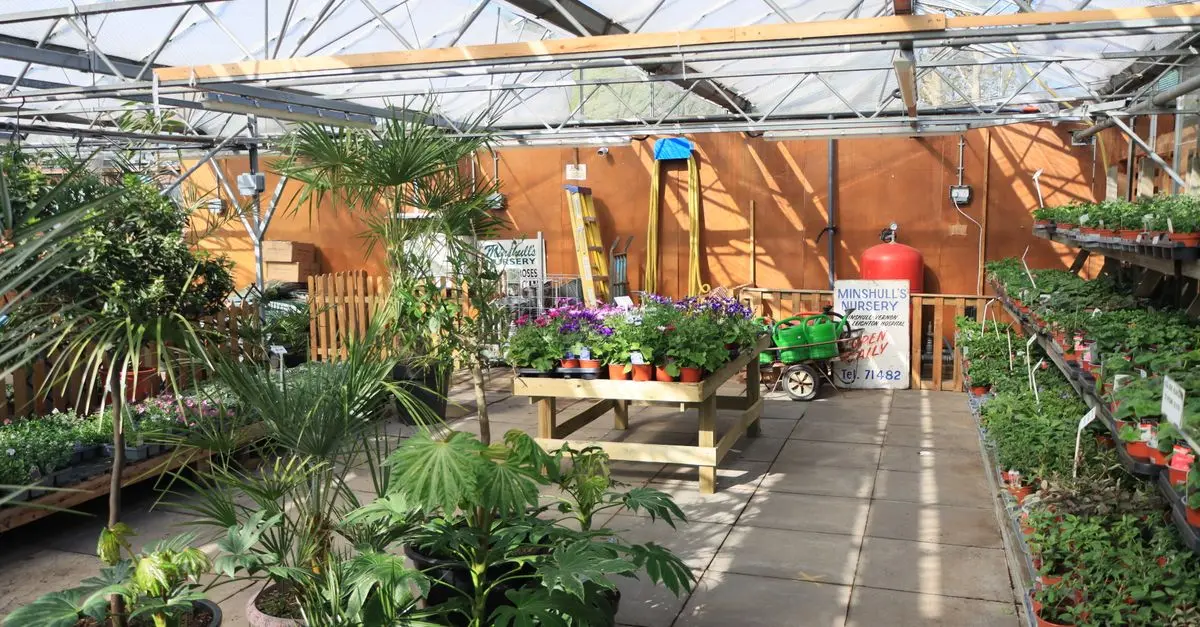 10 Suggerimenti Essenziali per Iniziare a Giardinare