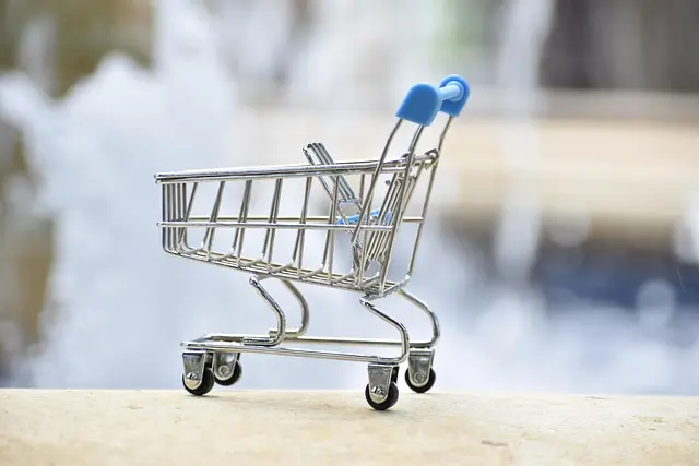 Comprendre les enjeux des e-commerçants en France