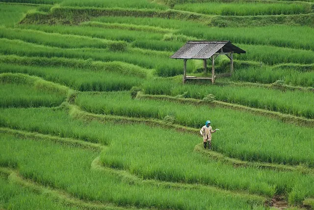 Les avantages des fournitures agricoles durables pour votre exploitation