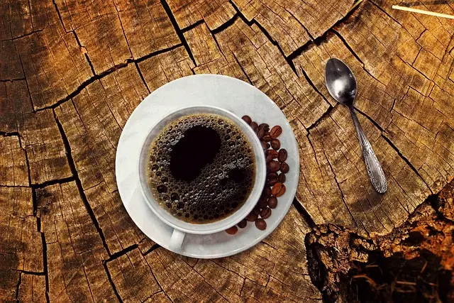Cafetière à Capsules : Quelles Sont les Meilleures Options Écologiques ?