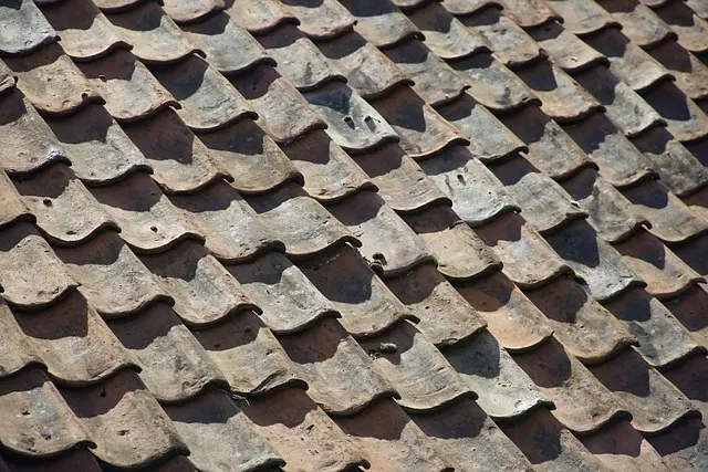 Jakie są nowoczesne materiały budowlane do projektów domów?