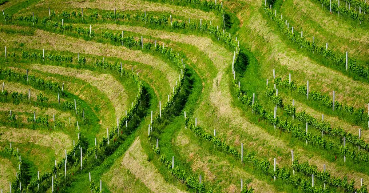 Les meilleures destinations pour un road trip d'aventure en Belgique