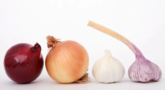 Les Meilleures Astuces pour Préparer des Fruits de Mer Savoureux