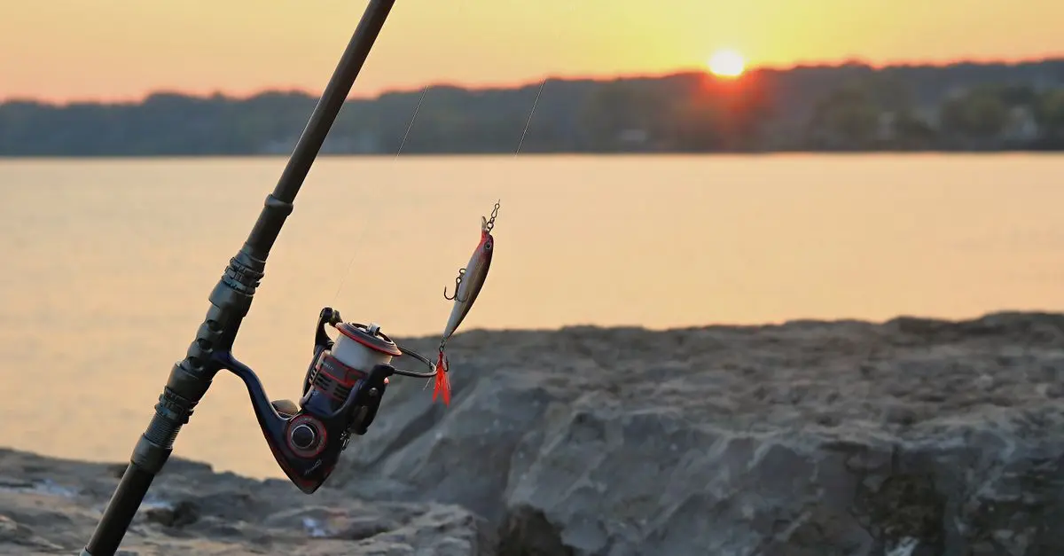 Understanding the Basics of Fishing for Beginners