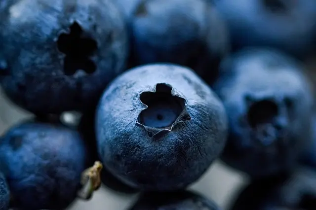 10 Superalimentos que Debes Incorporar en tu Dieta