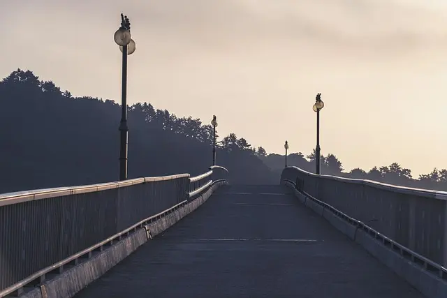 The Power of Consistency in Your Influencer Path
